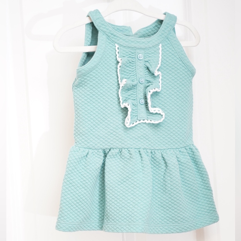 Janie and Jack Blue Dress with Pink Trim